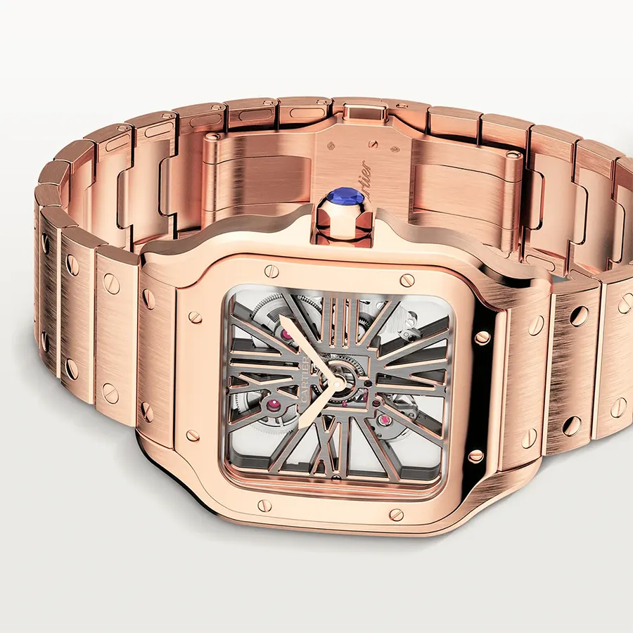Cartier Santos WHSA0016 Drubbamoments