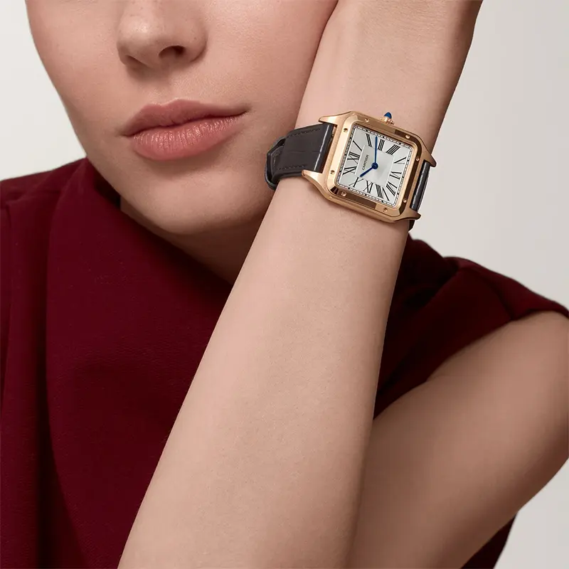 Cartier Santos Dumont WGSA0021 Grau Alligatorleder