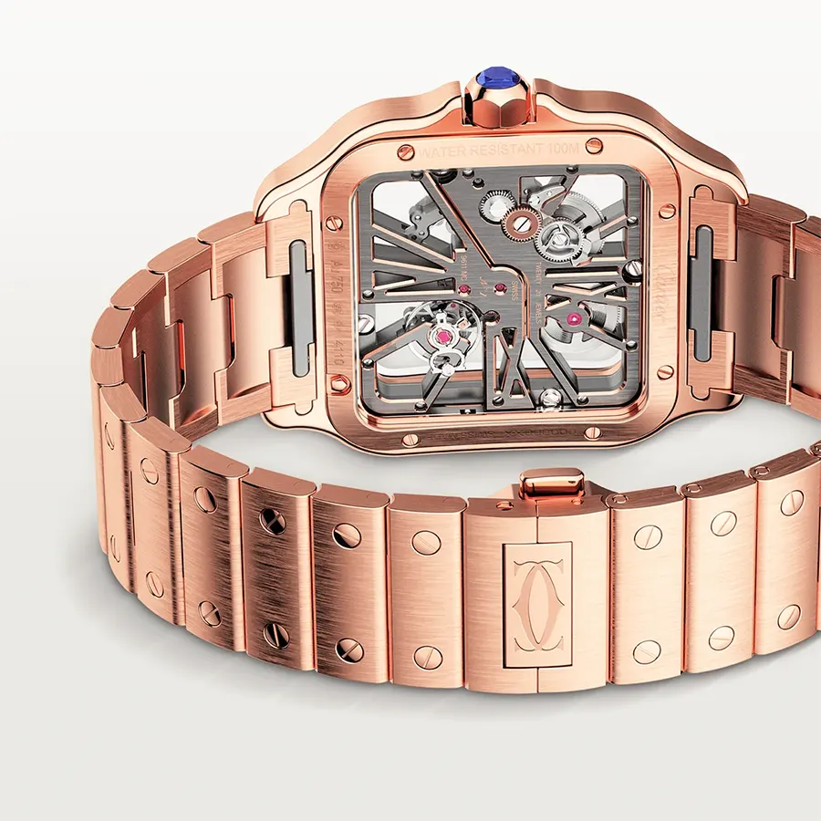 Cartier Santos WHSA0016 Drubbamoments