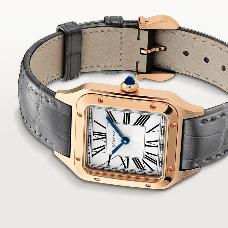 Cartier Santos Dumont WGSA0021 Grau Alligatorleder